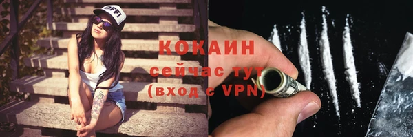 гидра Лиски