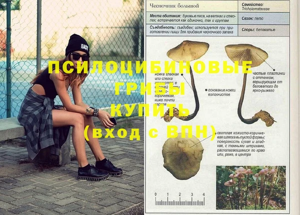 соль курить ск Липки
